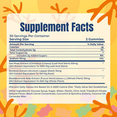 TrueSeaMoss Sea Moss Gummies with Bladderwrack & Burdock Root – Vegan Formula for Adults & Kids – Fruity Flavor – 60 Gummies