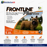 Frontline Plus for Dogs Flea & Tick Treatment – 6 Monthly Doses for Dogs 5–22 lbs | Waterproof Protection